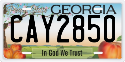 GA license plate CAY2850