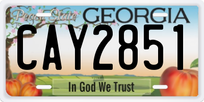 GA license plate CAY2851
