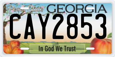 GA license plate CAY2853