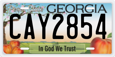 GA license plate CAY2854