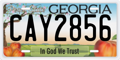 GA license plate CAY2856