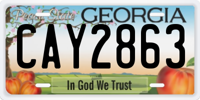 GA license plate CAY2863