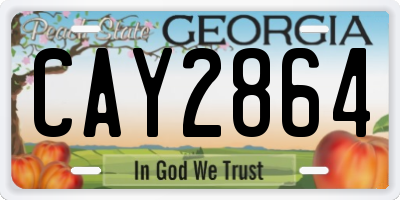 GA license plate CAY2864