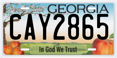 GA license plate CAY2865
