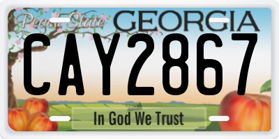 GA license plate CAY2867