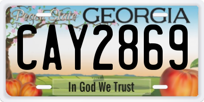 GA license plate CAY2869