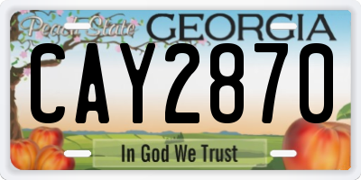GA license plate CAY2870