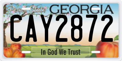 GA license plate CAY2872