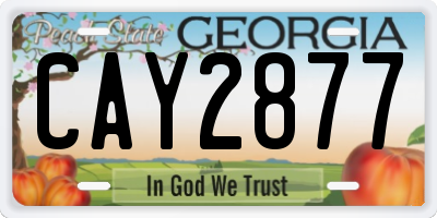 GA license plate CAY2877