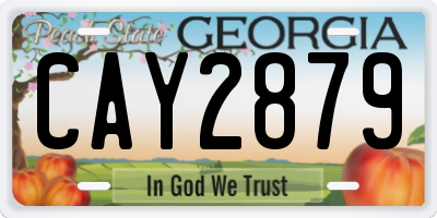 GA license plate CAY2879