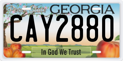 GA license plate CAY2880