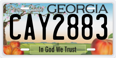 GA license plate CAY2883