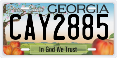 GA license plate CAY2885