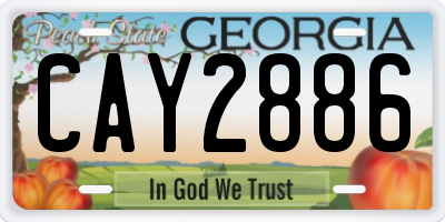 GA license plate CAY2886