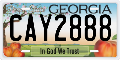 GA license plate CAY2888