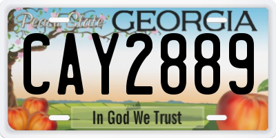 GA license plate CAY2889