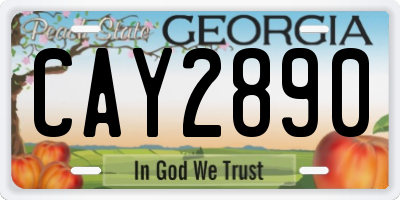 GA license plate CAY2890