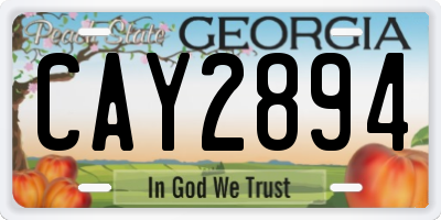 GA license plate CAY2894