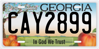GA license plate CAY2899
