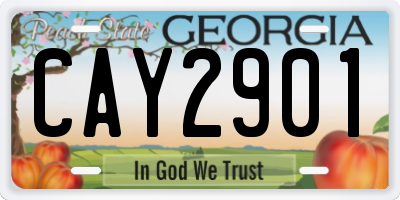 GA license plate CAY2901