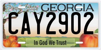 GA license plate CAY2902