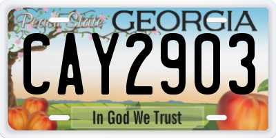 GA license plate CAY2903