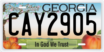 GA license plate CAY2905