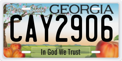 GA license plate CAY2906