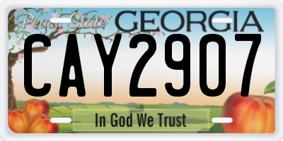 GA license plate CAY2907