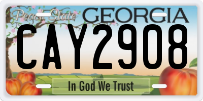 GA license plate CAY2908