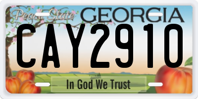 GA license plate CAY2910