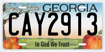 GA license plate CAY2913