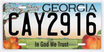 GA license plate CAY2916