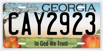 GA license plate CAY2923