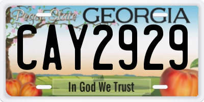 GA license plate CAY2929