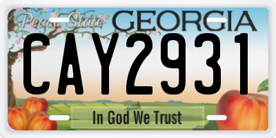 GA license plate CAY2931