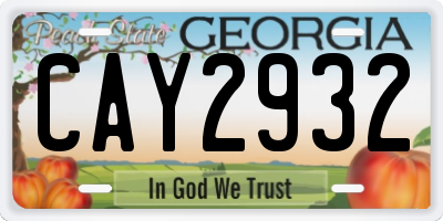 GA license plate CAY2932