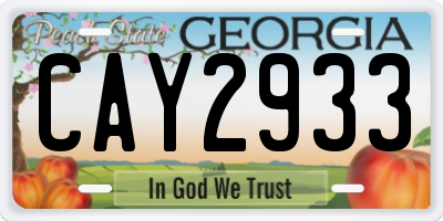 GA license plate CAY2933