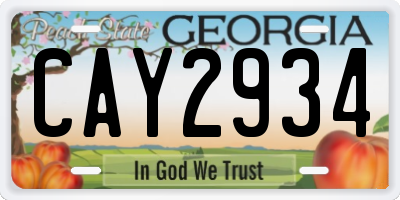 GA license plate CAY2934