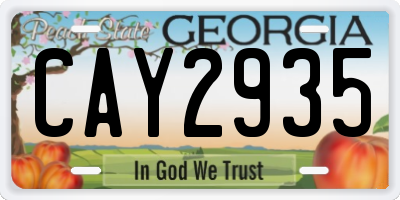 GA license plate CAY2935