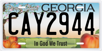 GA license plate CAY2944