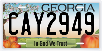 GA license plate CAY2949