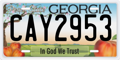 GA license plate CAY2953