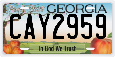 GA license plate CAY2959