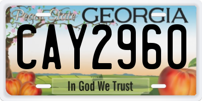 GA license plate CAY2960