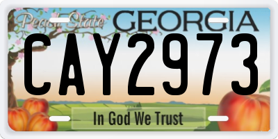 GA license plate CAY2973