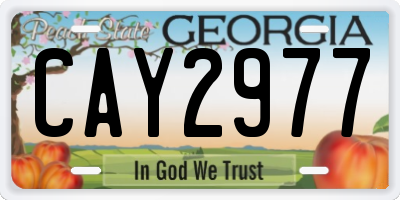 GA license plate CAY2977