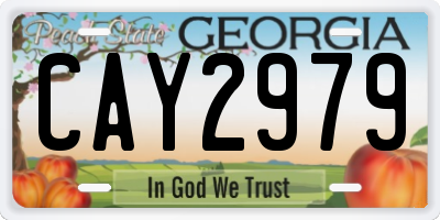 GA license plate CAY2979