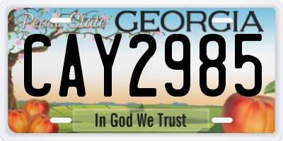 GA license plate CAY2985