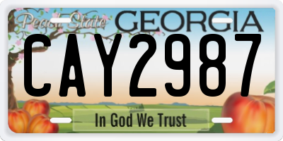 GA license plate CAY2987
